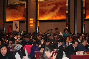 2013中电标协标准推动会